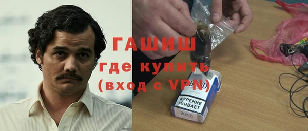 гидра Весьегонск