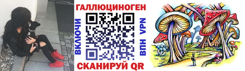 блэк спрут tor  Змеиногорск  Псилоцибиновые грибы мицелий  цены наркотик 